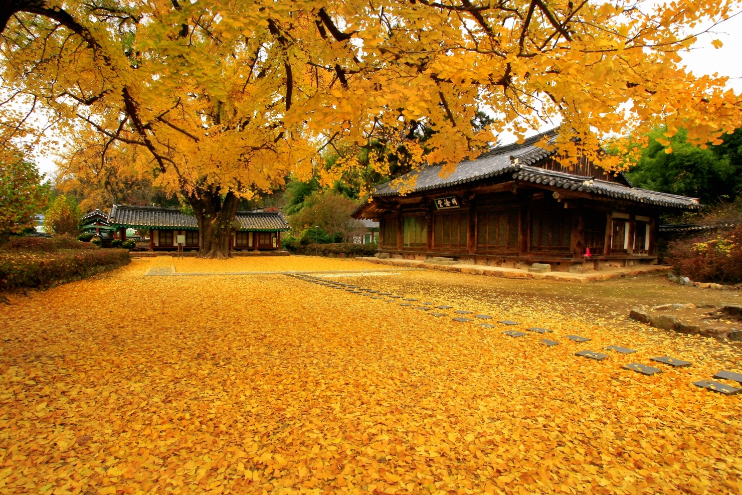 SEOUL HÀNH TRÌNH TOUR LÃNG MẠNG TẠI XỨ HÀN (4N4Đ)